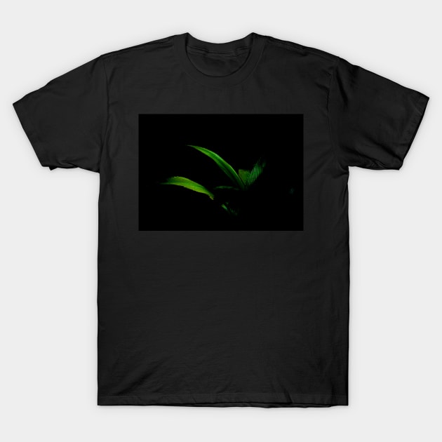 Bright green palm frond caught in sun against black background T-Shirt by brians101